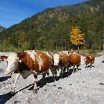 Haus Miksch * Pertisau