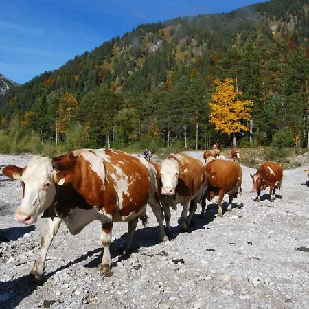 Haus Miksch * Pertisau