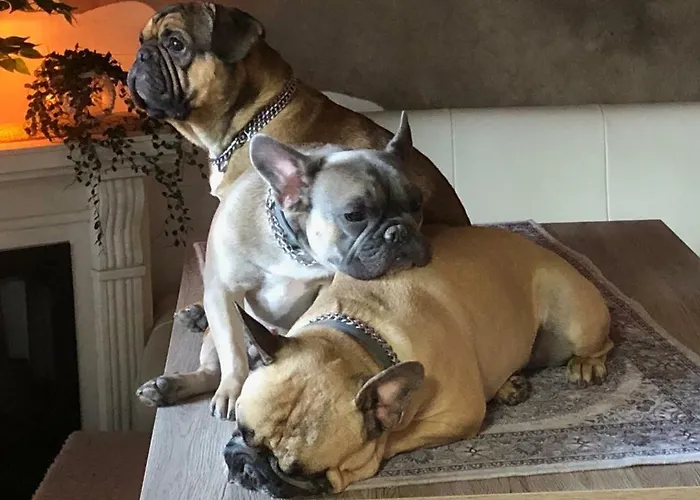 Haus Miksch Appartamento Pertisau