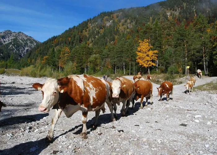Haus Miksch * Pertisau