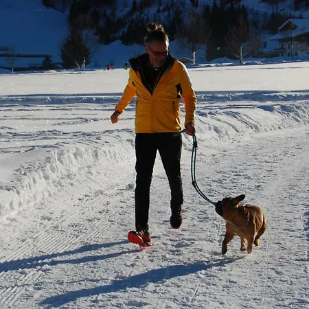 Haus Miksch * Pertisau